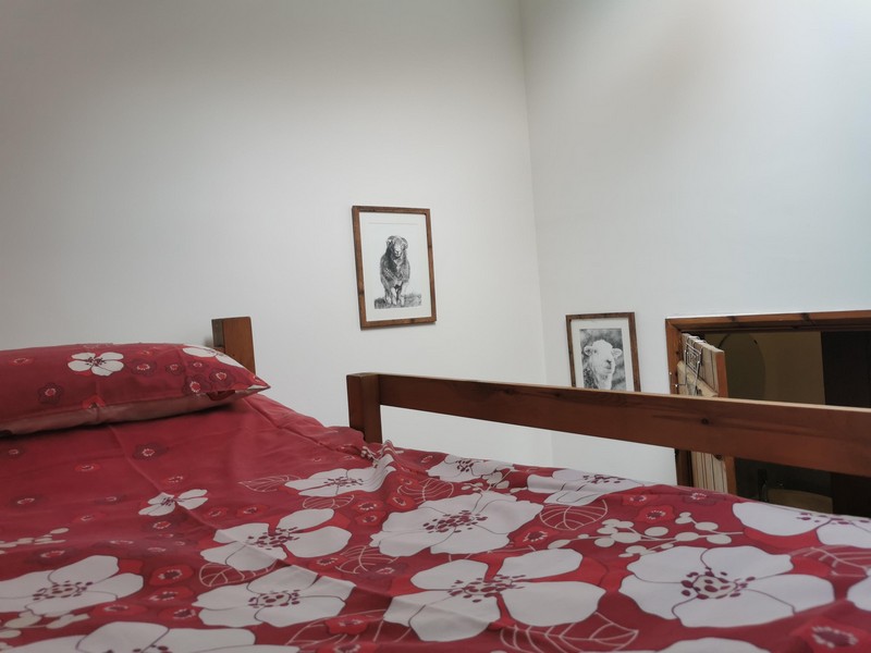 Upper bunk bed with a drawing of a herdwick sheep on the wall and the bunkhouse door